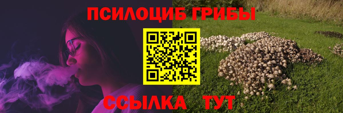 Галлюциногенные грибы MAGIC MUSHROOMS Ржев